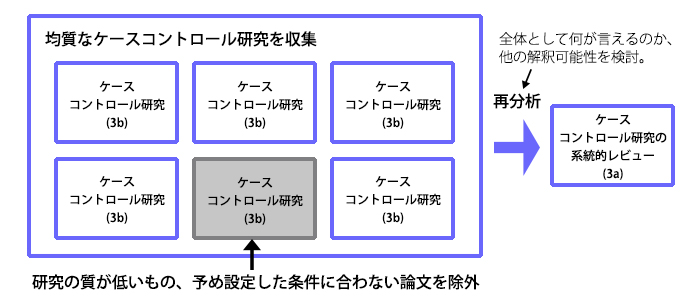 ケースコントロール研究の系統的レビュー