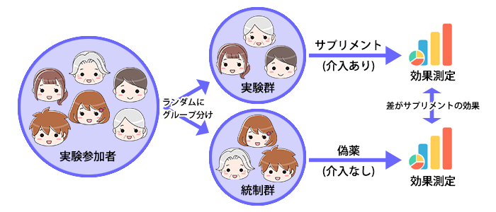 ランダム化比較試験