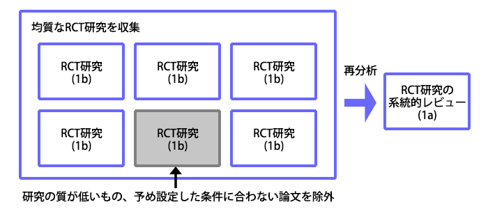 ランダム化比較試験の系統的レビュー